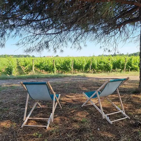 Au Coeur Des Vignes Chateau Sainte Barbe Holiday home