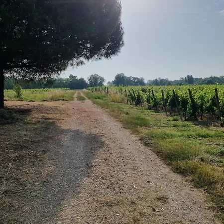 Au Coeur Des Vignes Chateau Sainte Barbe Holiday home *