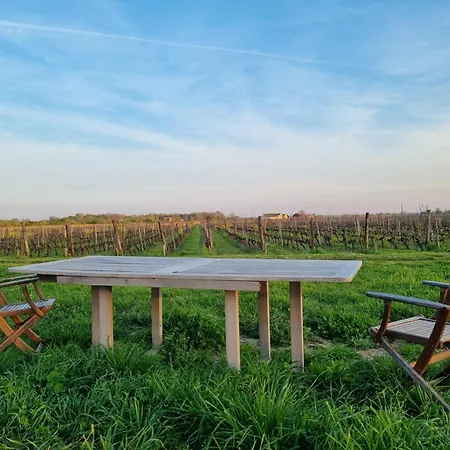 Holiday home Au Coeur Des Vignes Chateau Sainte Barbe